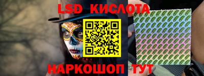 прущие грибы Краснокаменск